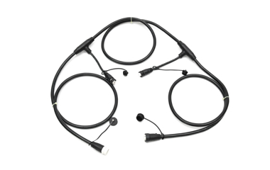 تربية الحيوان